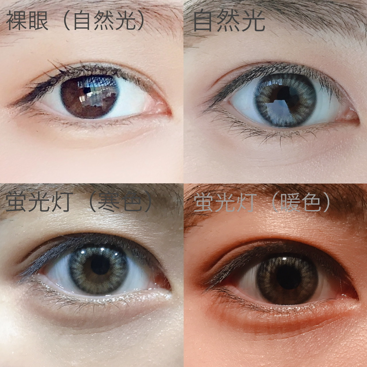 シリコンハイドロゲル 1ヶ月用カラコン ライリーパステルグレー Lighly Pastel 1month Gray 落ち着き美人 Dia14 3mm